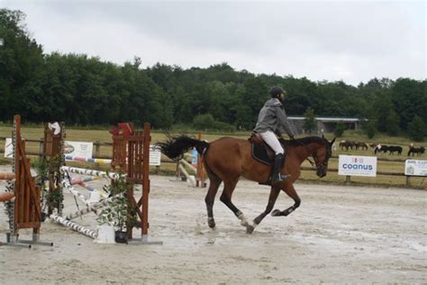 Concours Jumping Commune D Uxegney