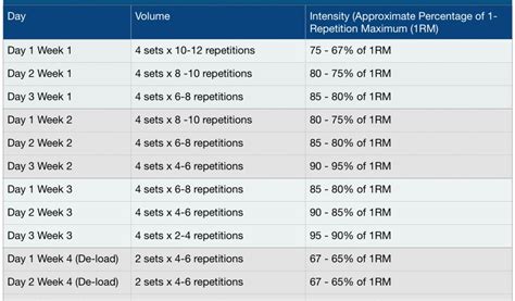 Undulating Periodization Template Daily Undulating Periodisation Dup