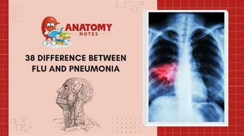 Pneumonia Treatment Archives Anatomy Notes