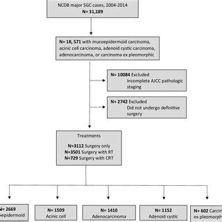 High Grade Transformation Of Epithelial Myoepithelial Carcinoma A Two