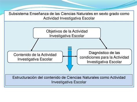 Actividad Investigativa Escolar En La Educaci N Primaria Ppt Descargar