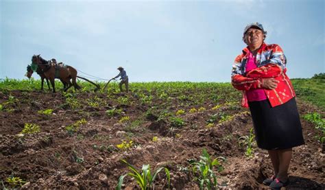 Aumenta en 10 3 millones la población en seguridad alimentaria de 2018