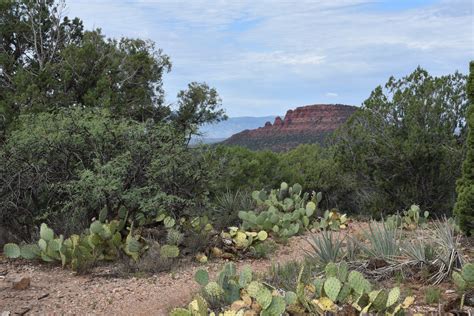 Sedona Hike Upper Dry Creek Area Trails Near Devils Bridge