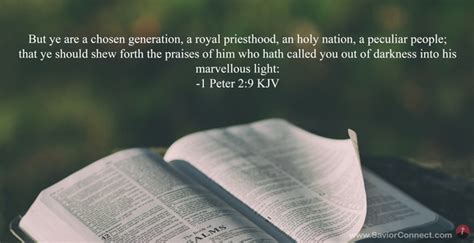 1 Peter 2 9 KJV