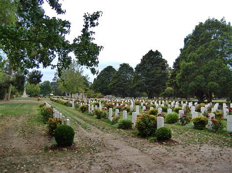 Springvale War Cemetery World War Two Cemeteries A Photographic