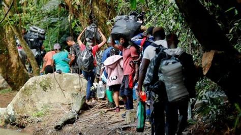 Onu 50 De Los Migrantes Que Cruzaron El Tapón De Darién En Enero