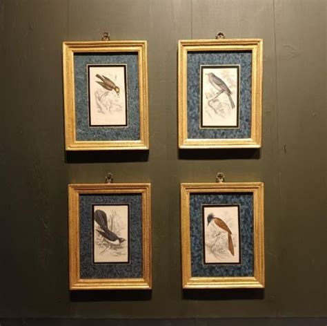 A Set Of Four Th Century Framed Bird Engravings By William Swainson