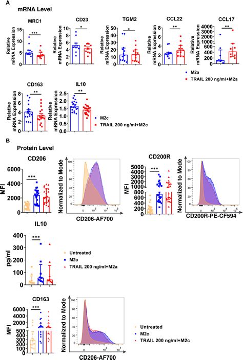 Frontiers TRAIL Promotes The Polarization Of Human, 60% OFF 