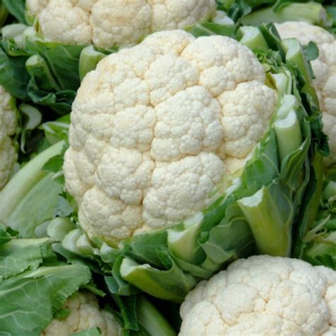 Cauliflower Early Snowball Seeds Burts Greenhouses