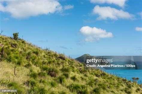 37 South Molle Island Stock Photos, High-Res Pictures, and Images ...