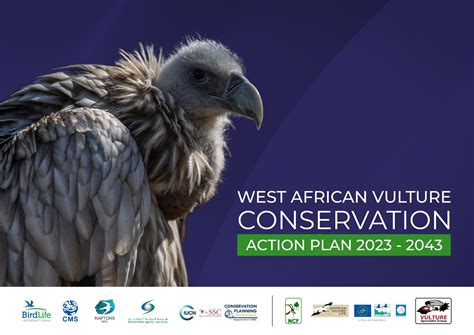 Press Release: West African Vulture Conservation Action Plan (WAVCAP ...