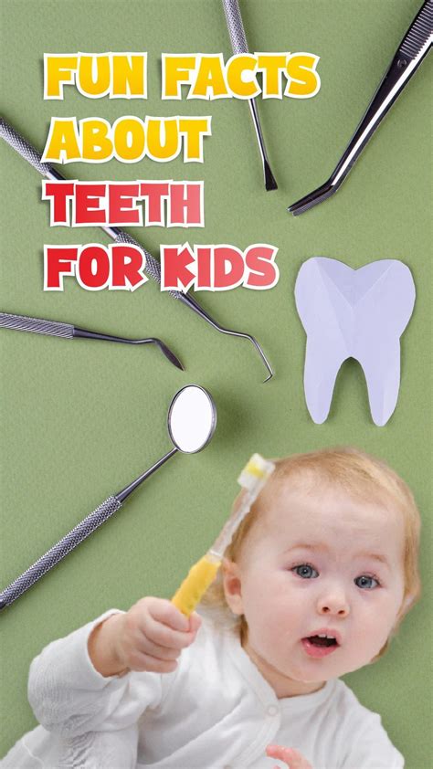 15 Fun Facts About Teeth for Kids