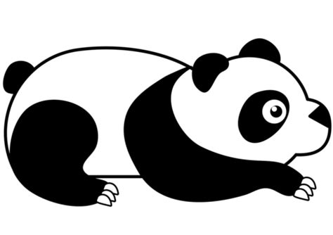 Desenho Simples de Panda para Colorir Grátis Explore o universo das