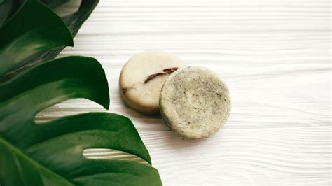 8 Simple Steps How To Use A Solid Shampoo Bar — Sustainably Lazy