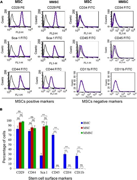 Immunophenotypic Characterization Of P Mscs And Mmscs A