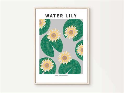 Water Lily National Flower Of Bangladesh Art Print Modern Etsy