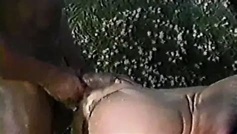 Free Butt Fuck Porn Videos 10 XHamster