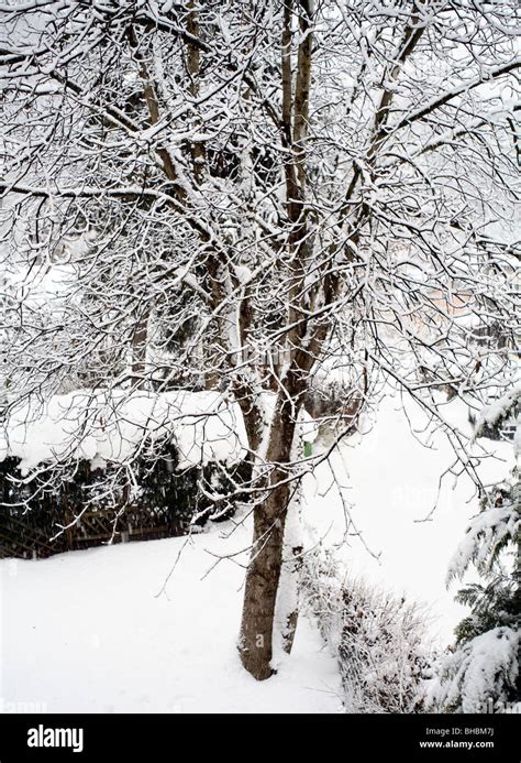 winter scene austria Stock Photo - Alamy