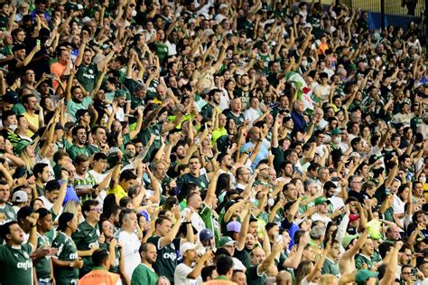 Palmeiras Chega A 80 Mil Sócios Torcedores E Programa Bate A Melhor