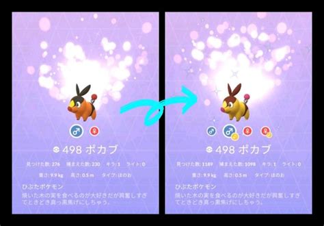 【ポケモンgo】ポカブ大量発生中に想定外の超レア色違いに遭遇！？ 星の砂3倍も激アツ【コミュニティデイ】 ラプラス大好きトレーナーの