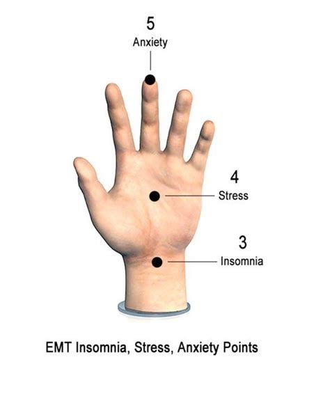 Pressure Points For Sleep Pressure Points To Try For Insomnia Artofit