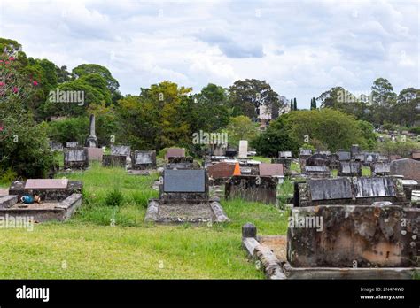 Rookwood Cemetery In Strathfield Sydney Australia Oldest And Largest