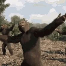 Monkey Dance GIF - Monkey Dance Swag - Discover & Share GIFs