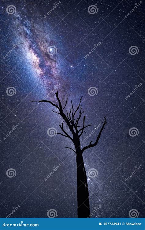 Milky Way Galactic Core With Lagoon And Trifida Nebulae Royalty-Free Stock Image | CartoonDealer ...