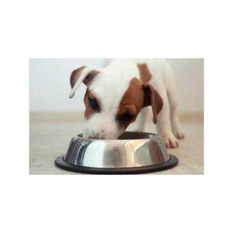 Kirkland Signature Puppy Formula Chicken, Rice and Vegetable Dog Food ...