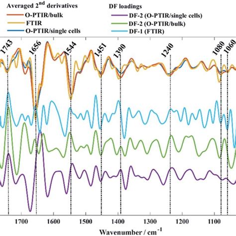 Average FTIR Red O PTIR Bulk Green And O PTIR Single Cells Blue