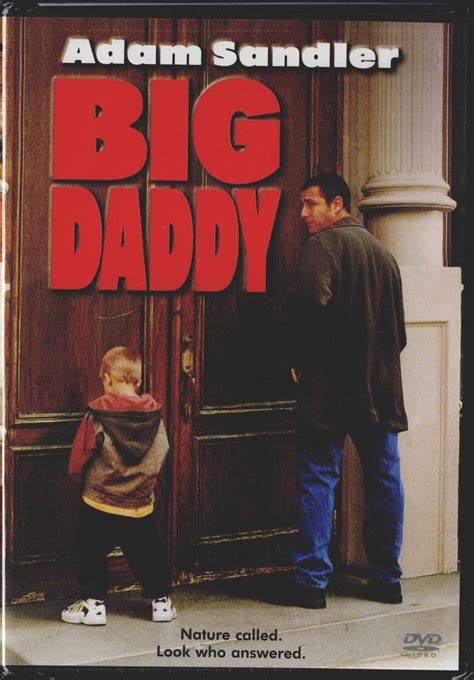 BIG DADDY - Adam Sandler, 2005 DVD, New/Sealed