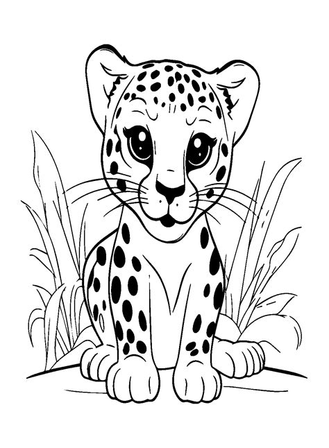 Belos Animais Africanos Para Colorir Imprimir E Desenhar