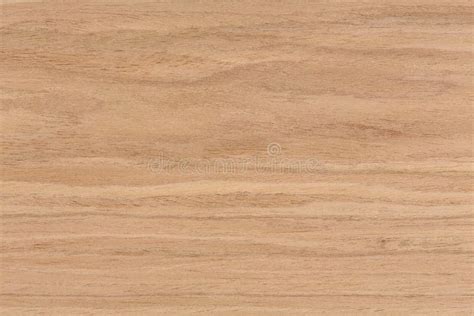 Walnut Wood Floor Texture