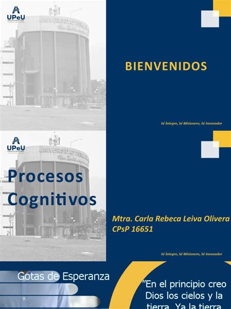 Clase I Procesos Cognitivos Pdf Sicología Psique Psicología