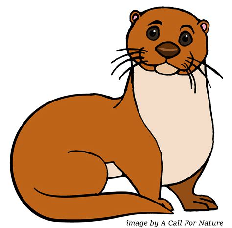 Otter clipart weasel, Otter weasel Transparent FREE for download on ...