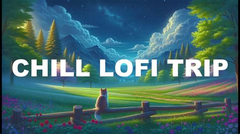 Chill Night Lofi💖lofi Ambient Music🎧relaxing Muisic Youtube