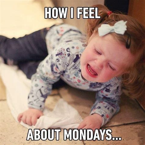 100 Relatable Monday Memes To Help You Survive The Week Tiny Positive