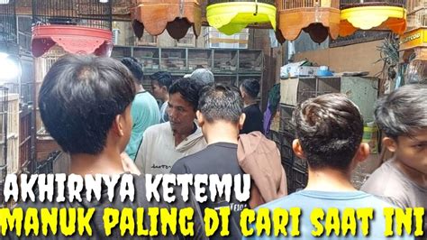 Cuma Ada Di Kios Ini Thn Lagi Baru Bisa Ketemu Burung Ini Lagi