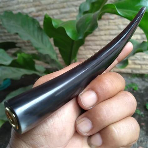 Jual Pipa Once Tanduk Kerbau Hitam Asli Cm Di Lapak Bayu