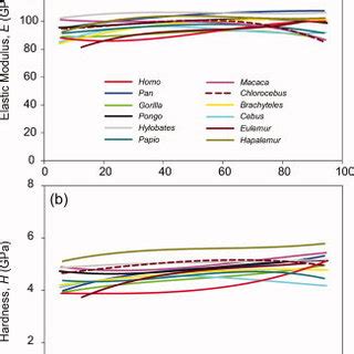 Profiles Of A Elastic Modulus E And B Hardness H Across