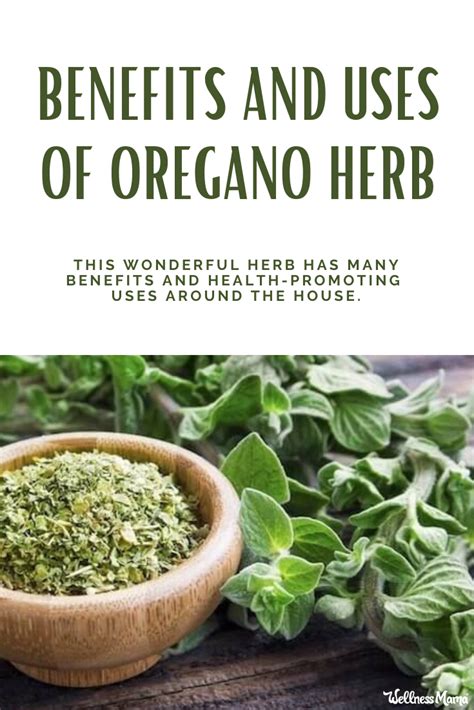 The Versatility of Oregano Herb