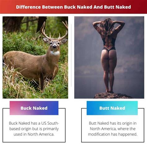 Buck Naked Vs Butt Naked Diferencia Y Comparaci N