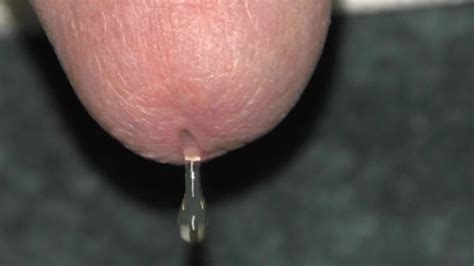 A Gravidade Puxa O Precum Para Fora Vazando Esperma Acabamento De Gozada Pornhub Gay