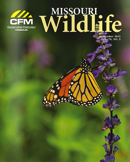 The Latest Missouri Wildlife Issue is Now Online - Conservation ...