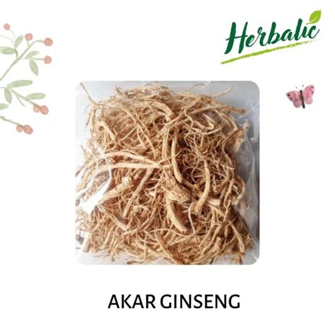 Akar Ginseng Yang Shen Xu Som Chiu Import 25 Gram Lazada Indonesia