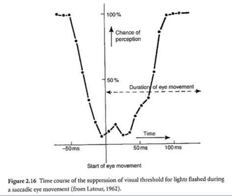 Eye Movements Flashcards Quizlet