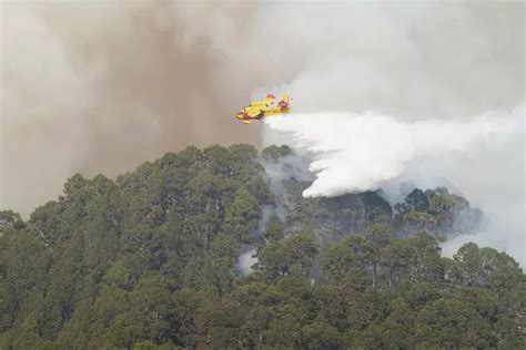 Tenerife Wildfire That Has Forced Thousands To Flee Their Homes Is Out