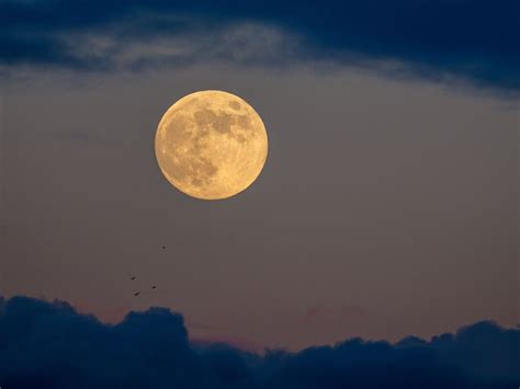 Las Fases De La Luna El Simbolismo Detrás De Cada Una