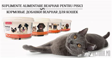 Кормовые добавки Beaphar для кошек с доставкой по Кишиневу ~ Catric ...