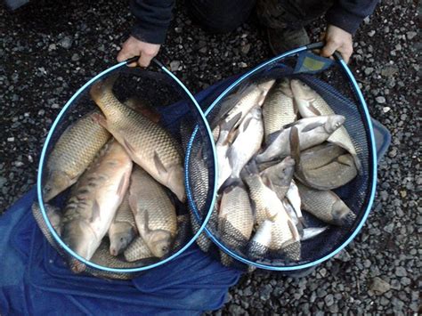 Graham Airey S North East Carp Haul Drennan International